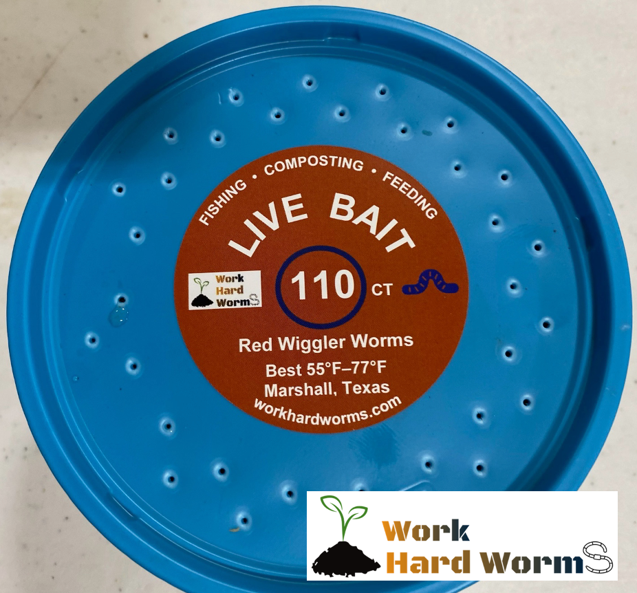thumbnail image 2 of 1000 Live Red Wiggler Worms For Composting - Organic Gardening & Vermiculture Starter Kit 2 of 6