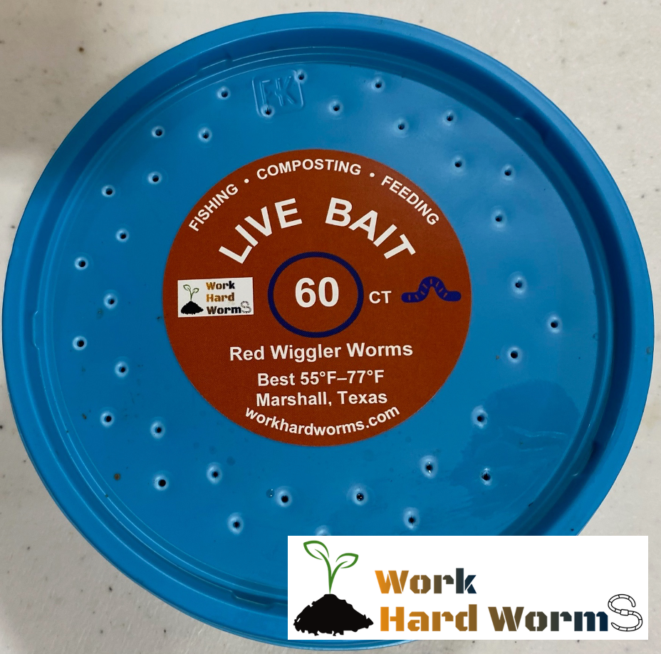 Red Wiggler Live Worms, Bait Cup/Bag 30 to 2000 CT, Composting, Feedin ...